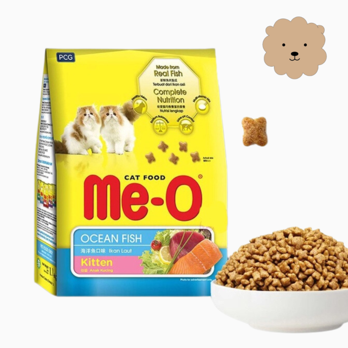 hạt mèo con