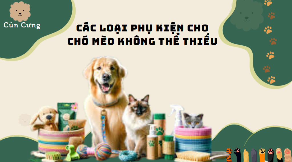 phụ kiện chó mèo