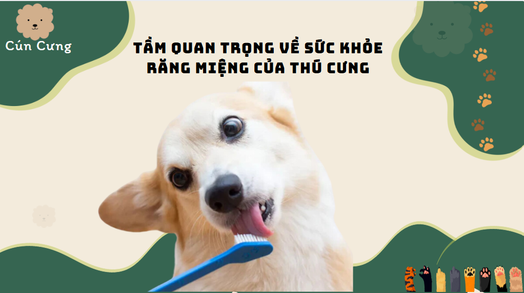 sức khỏe răng miệng của thú cưng