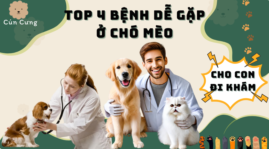 top 4 bệnh dễ gặp ở chó mèo